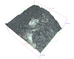 3D Optical image of highly corroded silver surface